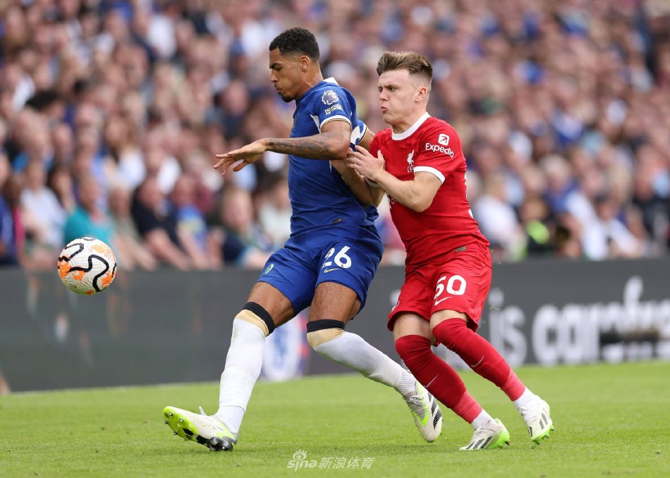 静的支持 静的支持